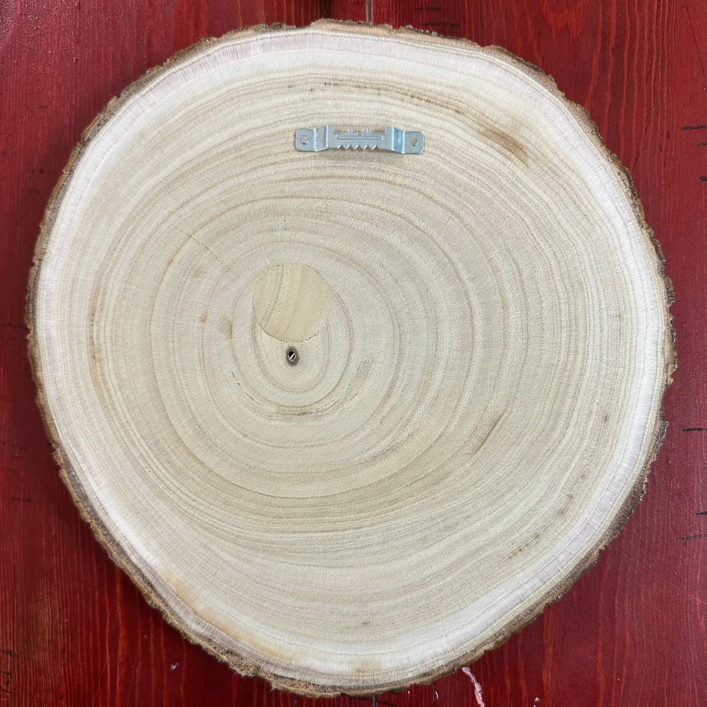 Close Up - Side View
Wall-hanger hardware - 9-10 Inch Birch Wood Round