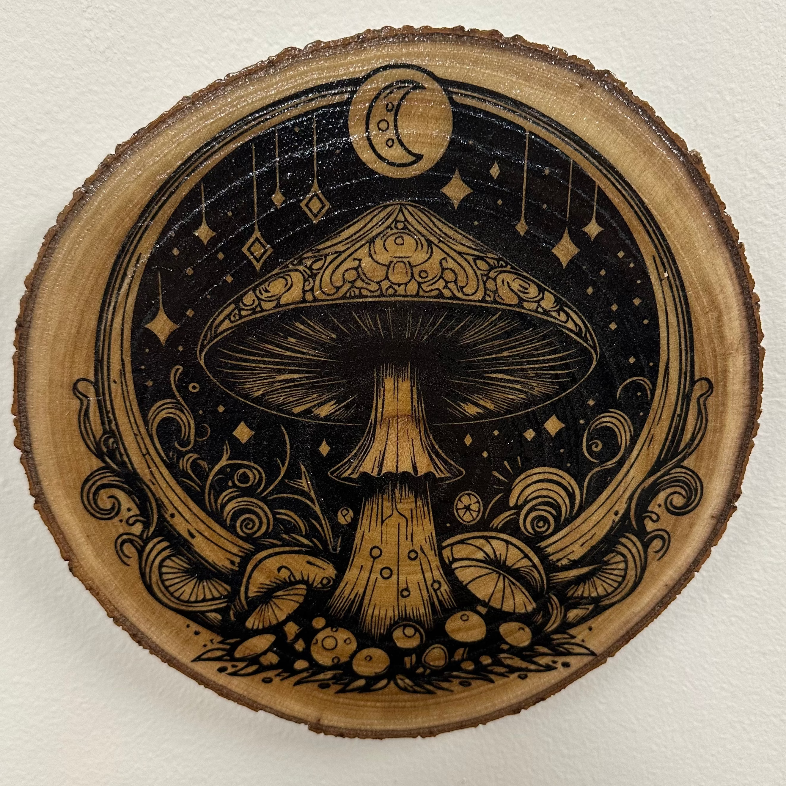 Close Up - Top View Close-up Wood Home Decor Magical Mushroom Night