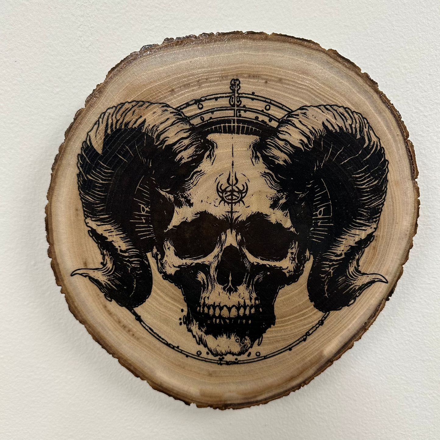 Close Up -laser engraved skull wall art